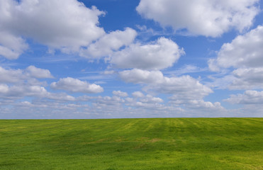 Obraz premium Summer landscape with wheat field and clouds
