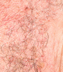 hair of the beard. close-up