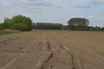 Tractor tracks in bare agricultural field
