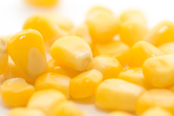 corn on a white background. close-up