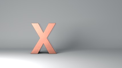 Obraz premium X