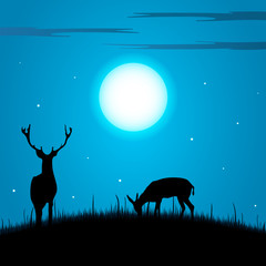 Deer and doe during the full moon background