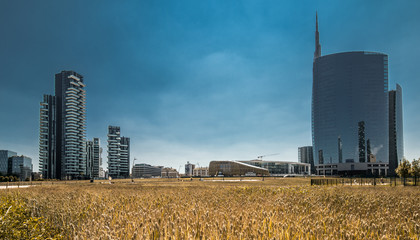 campo di grano a Milano