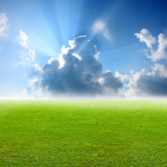 Fototapeta na wymiar Nice green grass with blue sky background, Landscape background