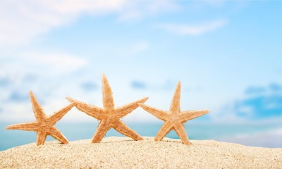 Fototapeta na wymiar Beach, starfish, coco.