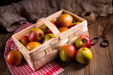 autumn Apple