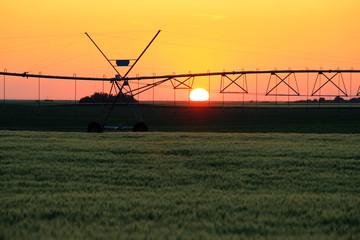 Fototapeta na wymiar Farm irrigation sprinkling fields at sunset