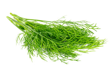 fresh dill isolated on white