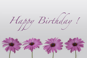 Happy Birthday  - pink flowers isolated on white