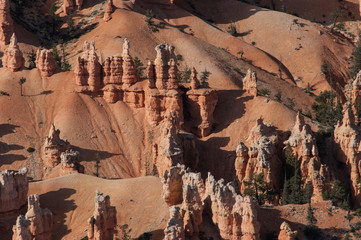 Bryce Canyon Close-up
