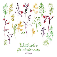 Set of different watercolor floral elements.