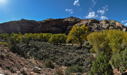 Fototapeta na wymiar Escalante Arch, Utah
