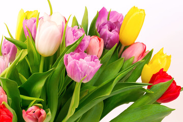 bouquet of tulips mother birthday gift valentine spring background selective soft focus toned photo