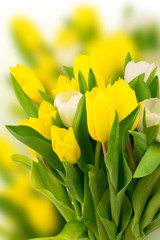 bouquet of tulips mother birthday gift valentine spring background selective soft focus toned photo