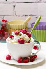 breakfast cottage cheese with raspberry frozen homemade organic healthy food selective soft focus