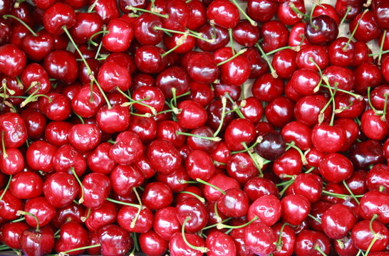 Red cherries for sale in a greengrocer