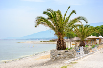 Fototapeta na wymiar Sea beach with Palm trees