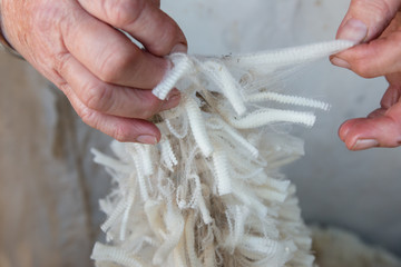 Merino wool in hands of an old woman