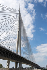 Fototapeta na wymiar Pylon bridge over Ada, Belgrade