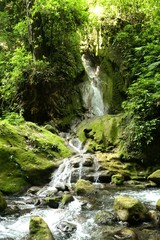 Naklejka na ściany i meble Waterfall in Sierra Gorda, Queretaro, Mexico