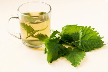 Fresh nettle tea for herbal medicine and green leaves