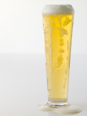 Glass Of Frothy Beer