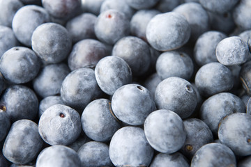 Blueberries