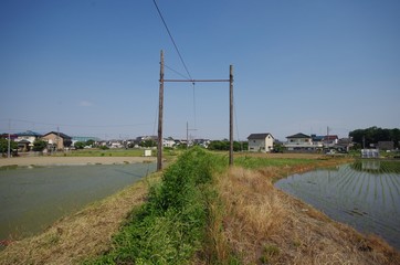 田んぼと廃線跡