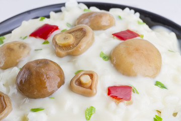 Saffron Milk Cap mushroom rice with white wine sauce