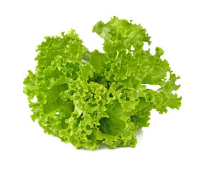 lettuce salad on a white background