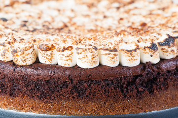 freshly bake smores cake with toasted marshmallows on top