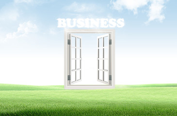 the business vision