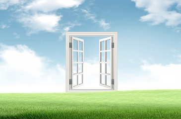 the window of success