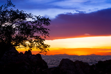 Naklejka na ściany i meble Beautiful sunset over the sea with silhouette of tree and rock