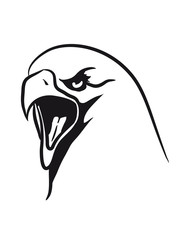 Eagle bird of prey dangerous