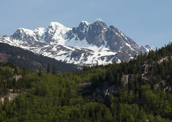 Skagway's Mountains and Forests