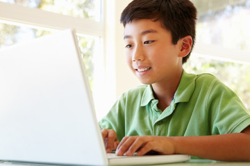 Young Asian boy using laptop