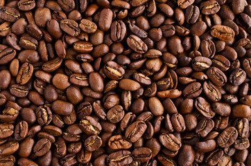 Coffee beans