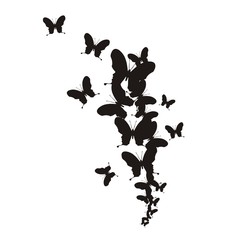 Бабочки © Abundzu