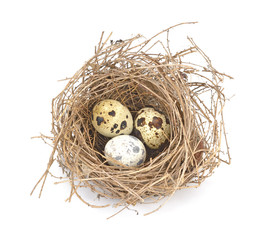 Naklejka na ściany i meble bird's nest and eggs isolated on white