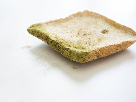 Mold On Bread Isolated