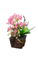 Artificail orchid in flower pot isolated over white