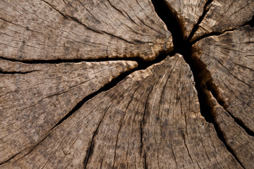 Wall Wood Backgrounds And Textures.