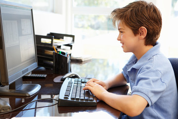 Young boy using computer at home
