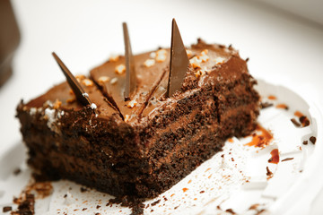 Tasty chocolate cake cheese cake on plate