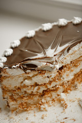 Tasty chocolate cake cheese cake on plate