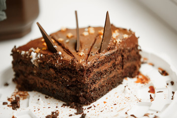 Tasty chocolate cake cheese cake on plate