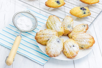Sugar powdered madeleines with blueberries