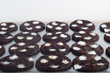 freshly baked double chocolate chip mallows