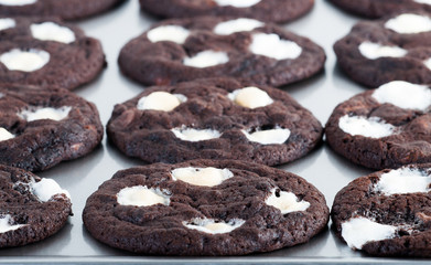 freshly baked double chocolate chip mallows